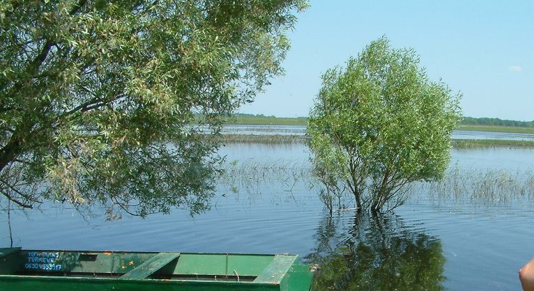 DSCF0023a.jpg