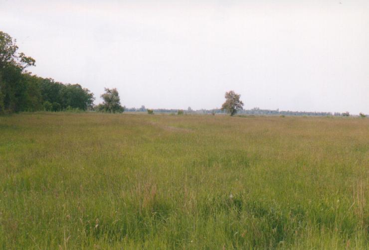 Hortobagy-Berettyo-6.JPG