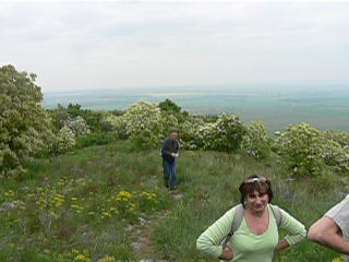 101_0718a.JPG