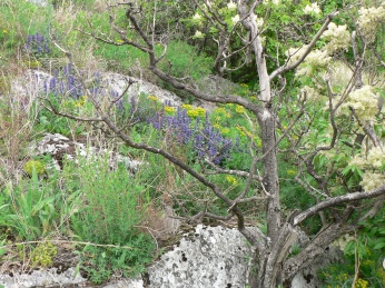 101_0719a.jpg