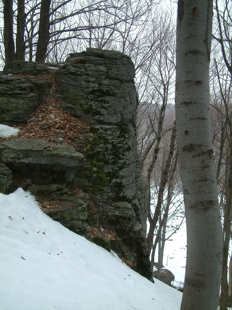 DSCF0035a.jpg