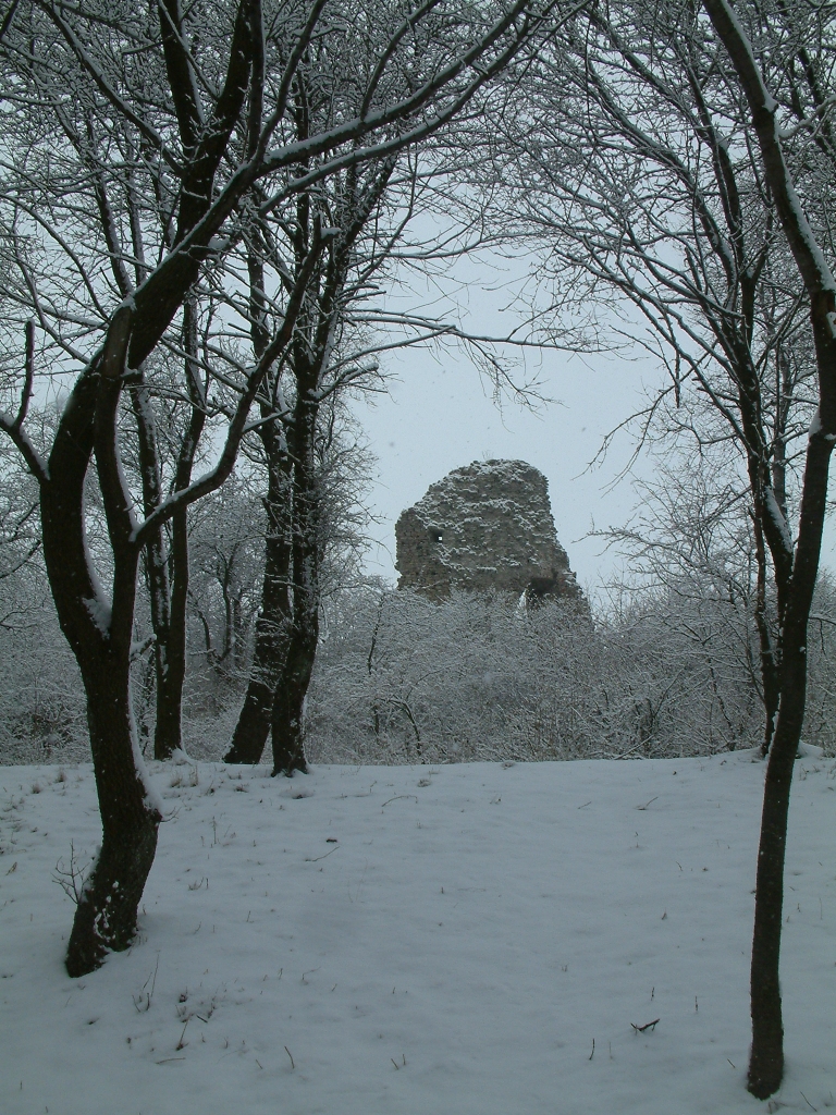 DSCF0115a.jpg