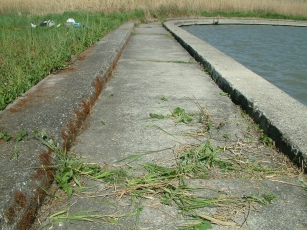 DSCF0124a.jpg