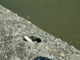 DSCF0143a.jpg