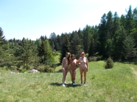 DSCN1794h.jpg