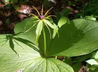 DSCN1812h.jpg