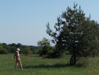 DSCN1836h.jpg
