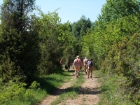 DSCN1841h.jpg