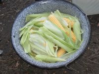 IMG_0446bb.jpg