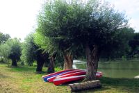 IMG_0476bb.jpg