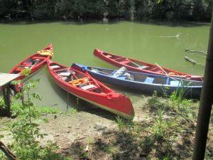 IMG_0482mh.jpg